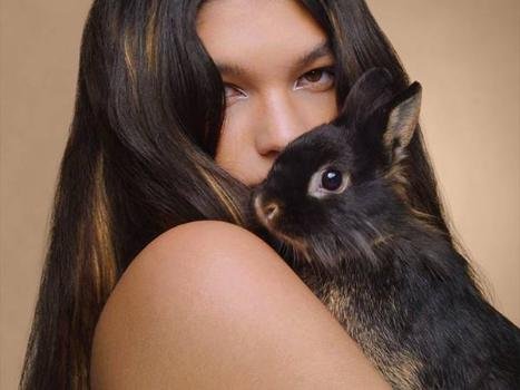 Cruelty Free International 3