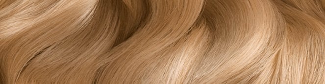 shaderolia831663x173jpgmaster