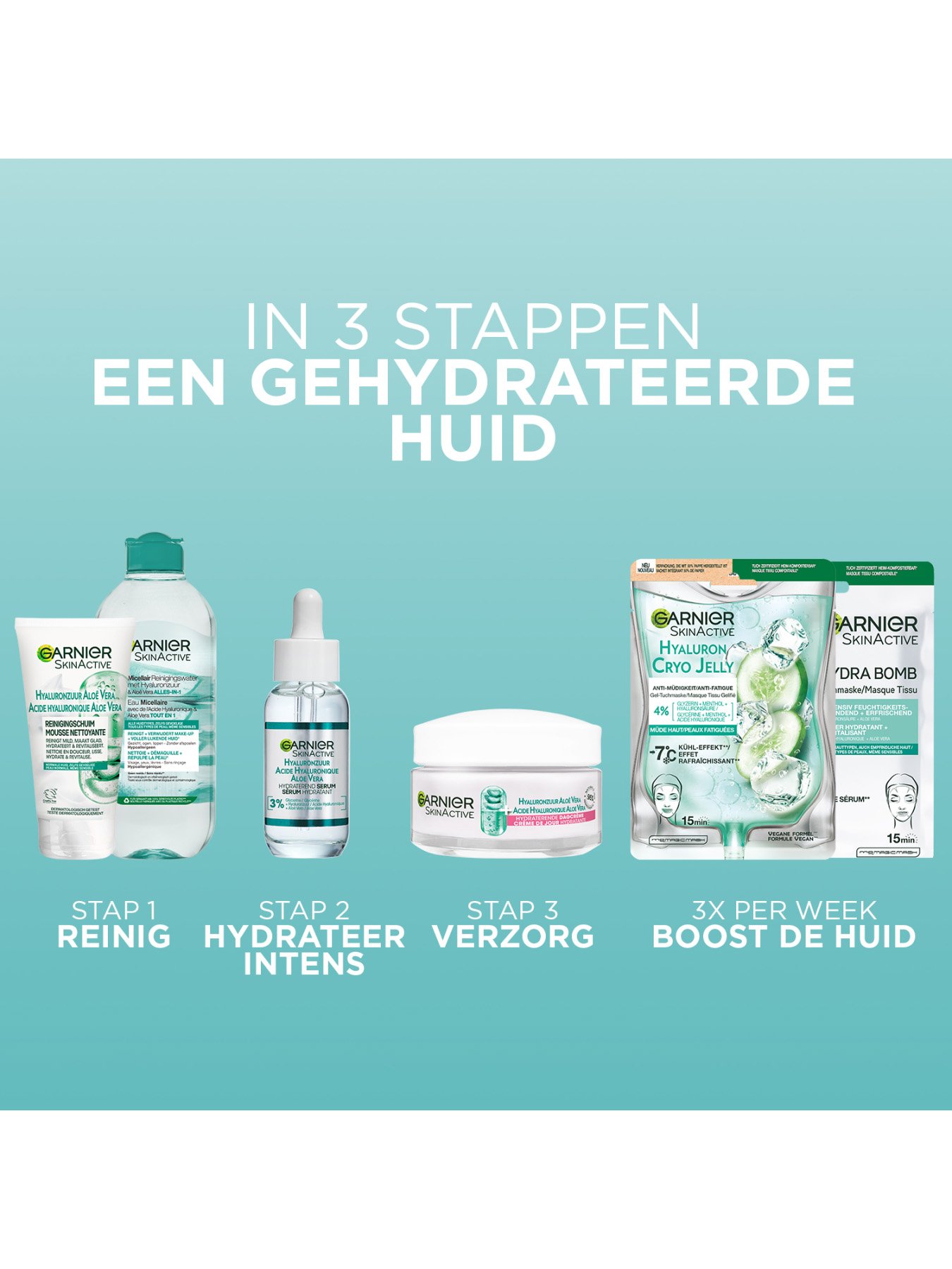 3600542426992 5 NL
