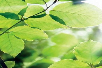 Homepage Brand banner 375 x 400 511x342