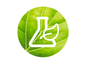 DMI CORPO GREENBEAUTY BP MODULE4 JUN23