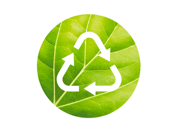 DMI CORPO GREENBEAUTY BP MODULE5 JUN23