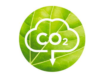 DMI CORPO GREENBEAUTY BP MODULE6 JUN23