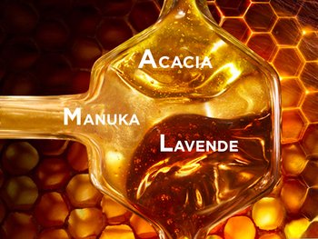 9614526 UD brand page visuals honey contentblock 3 FRjpg master