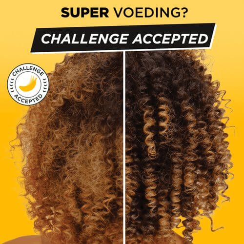 3600542513135 T6