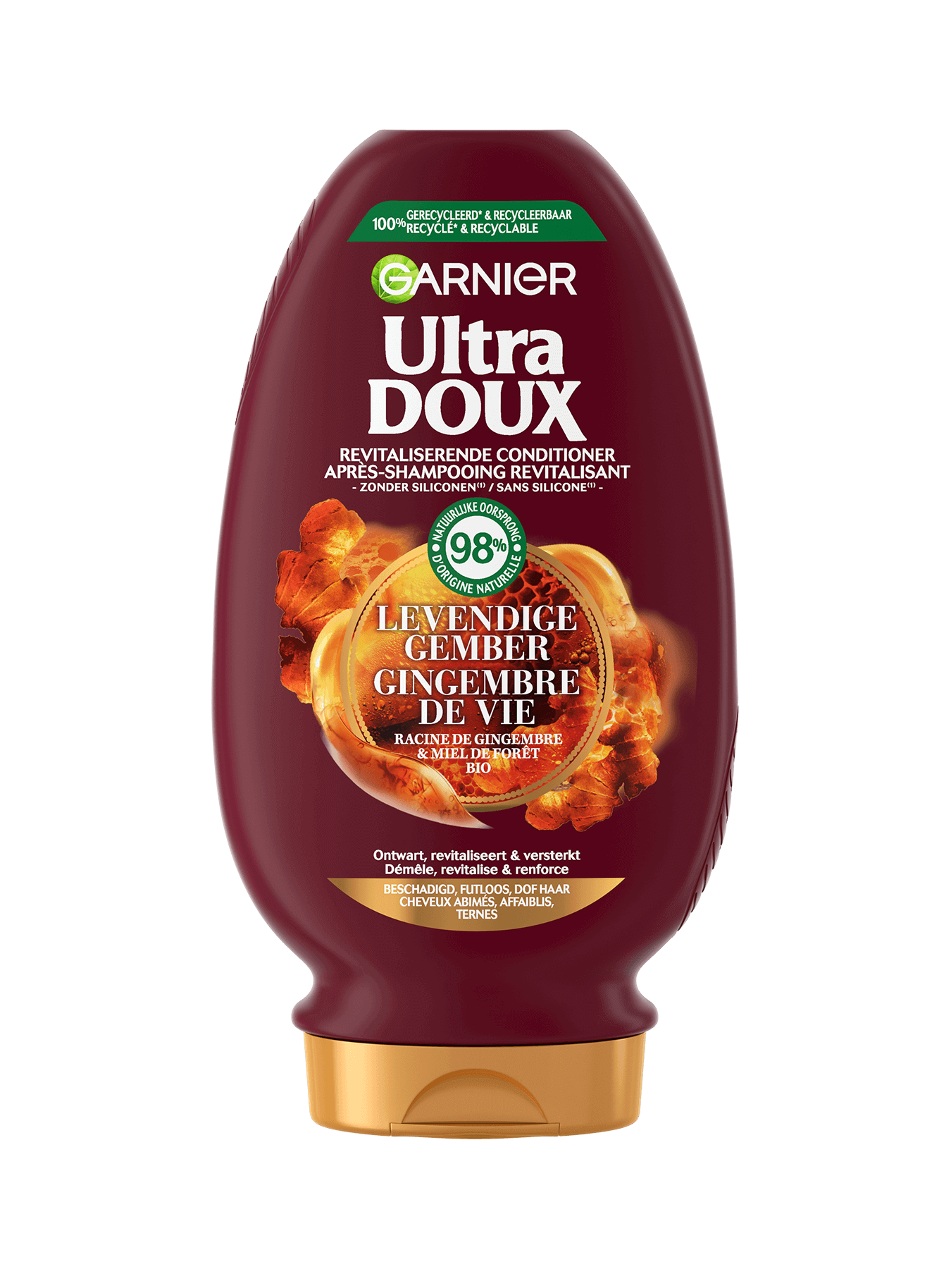 Garnier Hair Care UDX HONEY GINGER ASH B200 135 3600542463287 A1N1 FRONT P 1350x1800