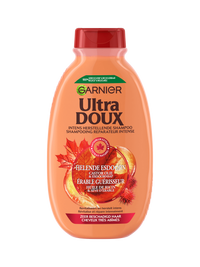 Garnier Hair Care UDX RICIN REGULAR SHP B250 135 3600542462518 A1N1 FRONT P 1350x1800